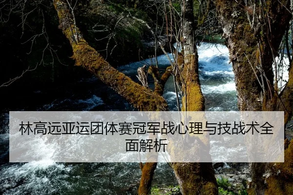林高远亚运团体赛冠军战心理与技战术全面解析